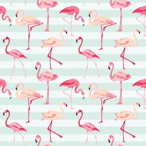 Pattern Flamingo